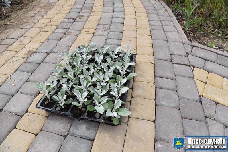 Як уквітчають дитячу лікарню в Нікополі