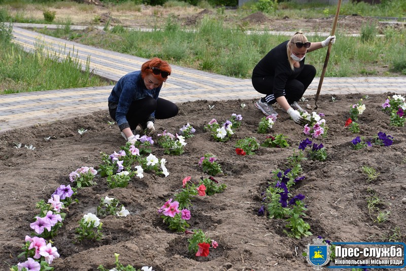 Як уквітчають дитячу лікарню в Нікополі