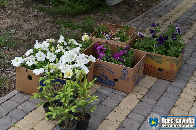 Як уквітчають дитячу лікарню в Нікополі