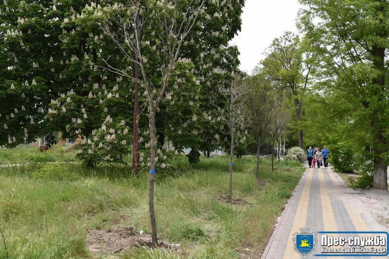 Як уквітчають дитячу лікарню в Нікополі