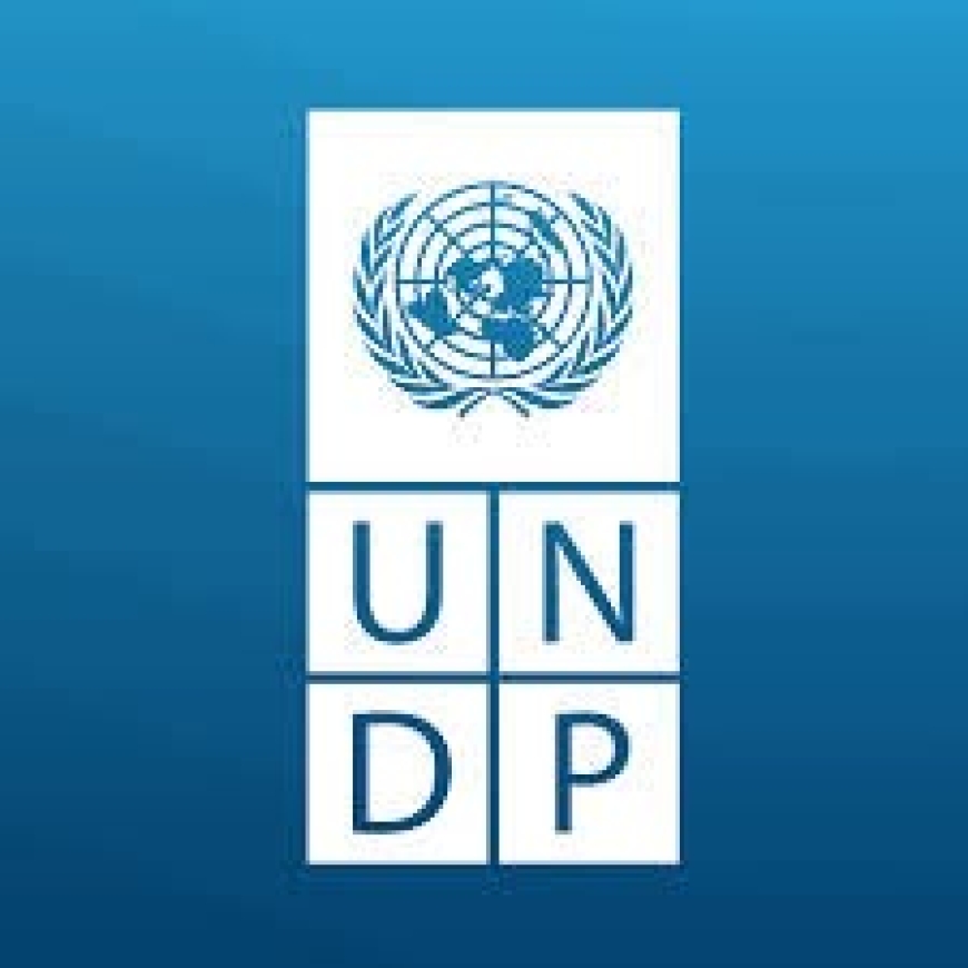 ПРООН в Україні за підтримки Уряду Японії оголосили конкурс для мікро-, малих і середніх підприємств у межах Програми розвитку потенціалу та підтримки ММСП у сфері бізнес-інновацій та доступу до фінансування