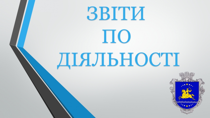 ЗВІТИ ПО ДІЯЛЬНОСТІ
