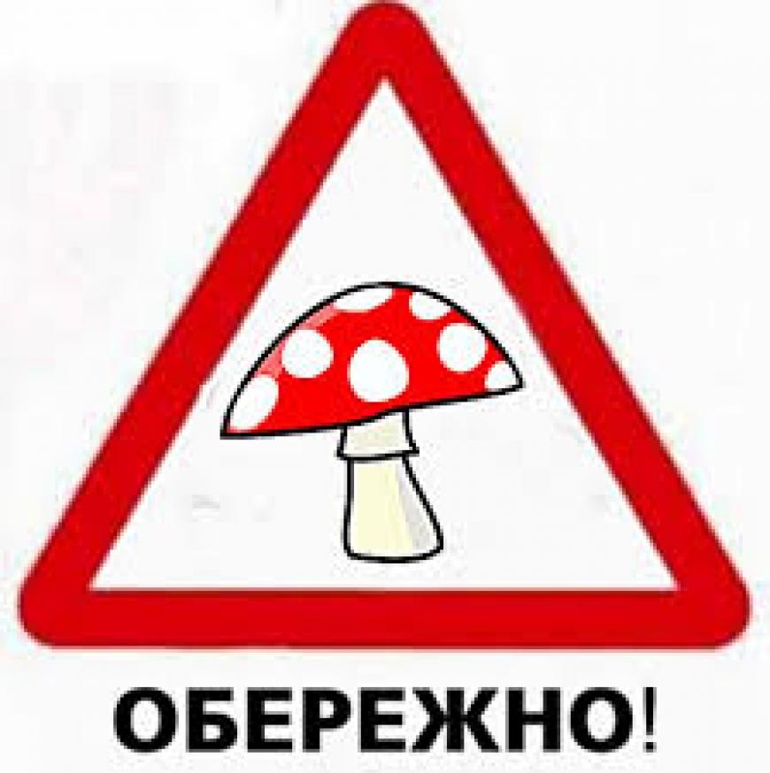 Обережно - ГРИБИ!
