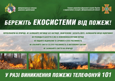 Причини пожеж в екосистемах. Спалення сміття та сухостою!